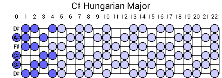 C# Hungarian Major