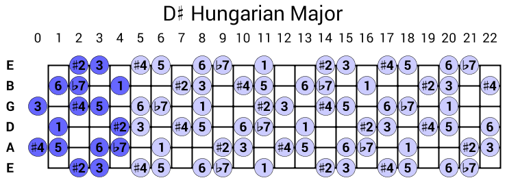 D# Hungarian Major